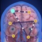 神經連接遊戲下載