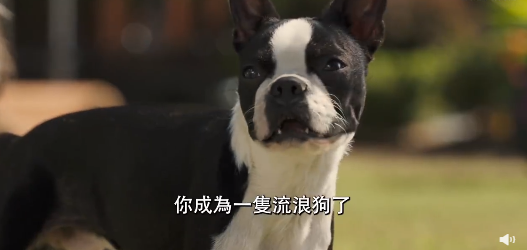 喜劇片《複仇狗聯盟》將于8月18日在北美上映