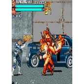 懲罰者加強版apk