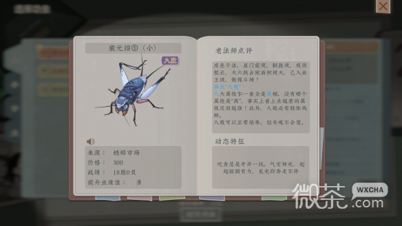 沉默的蟋蟀中後期玩法技巧心得詳情