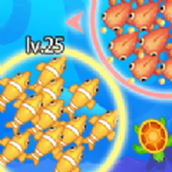 海洋爭霸賽安裝