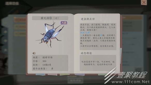 沉默的蟋蟀中後期玩法技巧心得