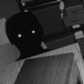 尋找僞人遊戲手機版2023最新免費下載