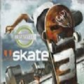 skate3中文版