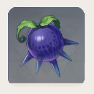 原神鈎鈎果采集地點