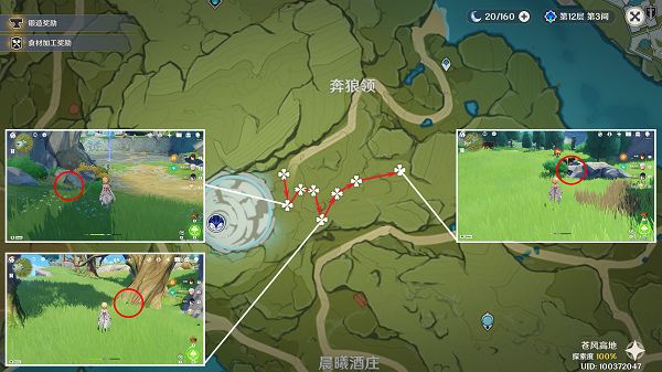 原神鈎鈎果采集地點