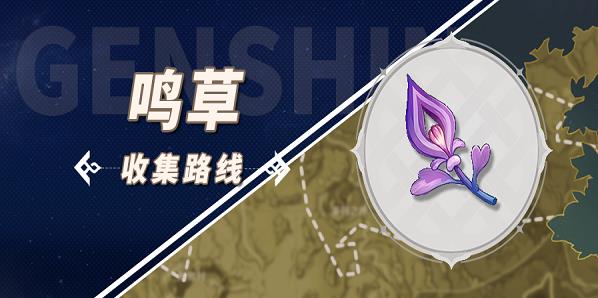 原神鳴草采集位置2023攻略