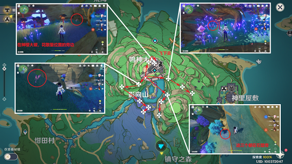 原神鳴草采集位置2023攻略