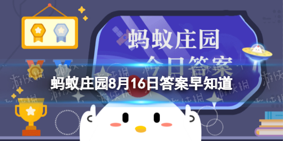 小雞寶寶考考你以下哪一項是基金會的組織特點螞蟻莊園8月16日答案早知道