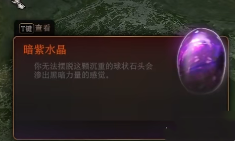 博德之門3古代典籍怎麽讀完