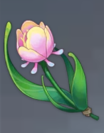 原神虹彩薔薇哪裏最多