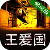 孫美琪疑案王愛國安卓下載
