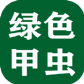 綠色甲蟲遊戲安裝