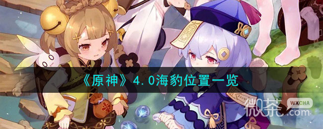 原神4.0海豹位置詳情