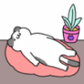 完美之貓完整版