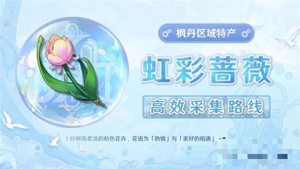 《原神》4.0虹彩薔薇采集路線參考