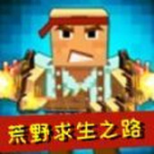 荒野求生之路版