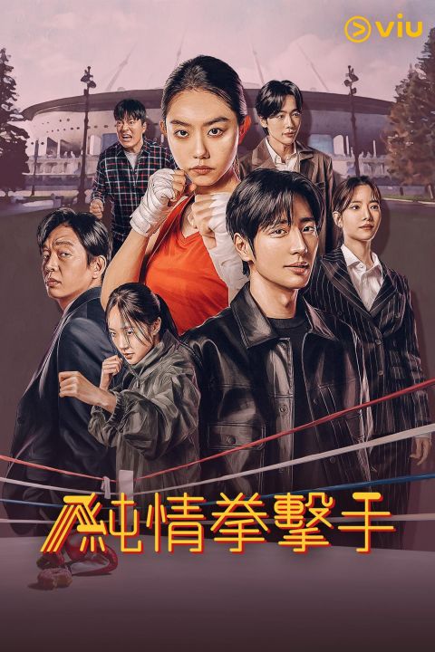 純情拳擊手韓劇全集免費觀看地址