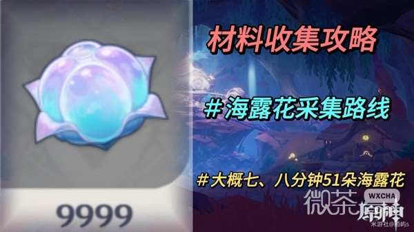 原神4.0楓丹特産海露花采集路線一覽