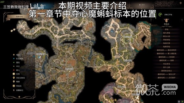 博德之門3奪心魔寄生蟲標本收集攻略分享