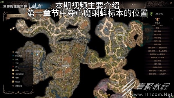 博德之門3奪心魔寄生蟲標本收集指南