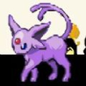 神奇寶貝舊白安裝