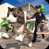 極速流浪貓遊戲安裝