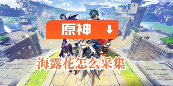 原神海露花怎麽采集