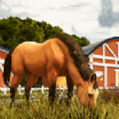 騎馬世界下載最新版