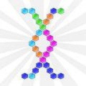 六角組合安卓下載