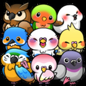 小鳥生活安卓下載