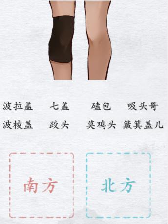《漢字進化》南北差異怎麽過