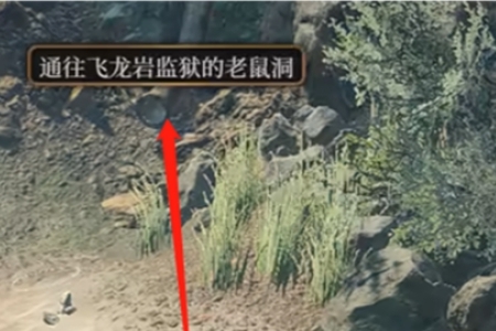 《博德之門3》飛龍監獄怎麽去
