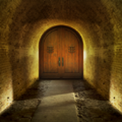 堅定逃脫決心遊戲安裝