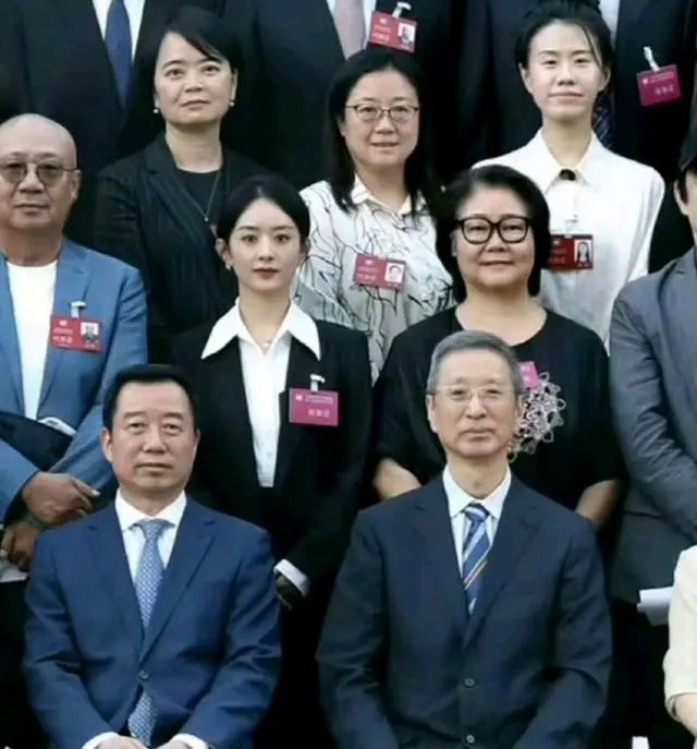 趙麗穎當選中視協第七屆理事