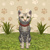 動物模擬生存安裝包