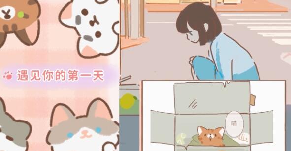 遇見你的貓喵圈攻略種類及觸發技巧