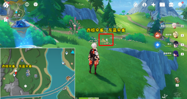 《原神》光影研學楓丹特有飛禽位置介紹