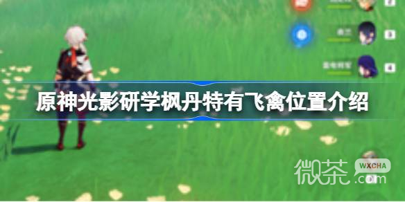 原神光影研學楓丹特有飛禽位置詳情