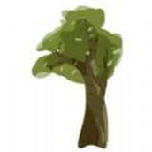 澆水種樹安裝包