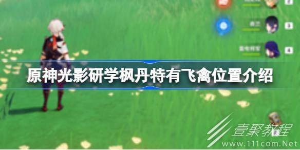 原神光影研學楓丹特有飛禽位置在哪裏