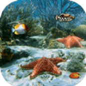 大魚我不怕你版