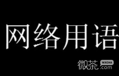 你们都给我变鸟梗是什么意思详情