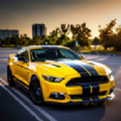 停車王免費正版