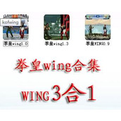 拳皇wing遊戲合集