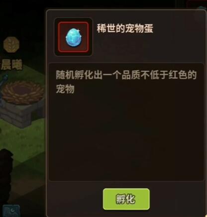 《浮石之旅》寵物蛋怎麽孵
