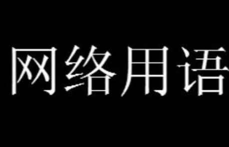 鼠了是什麽意思網絡用語