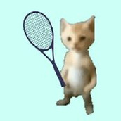 猫咪网球冠军2023正版