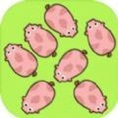 小豬消消安卓下載