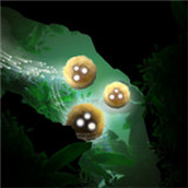 投球手跑下載手機版